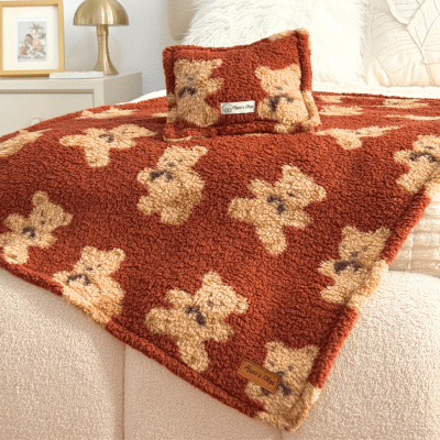 MANTA TEDDY LACRE + ALMOHADA REGALO