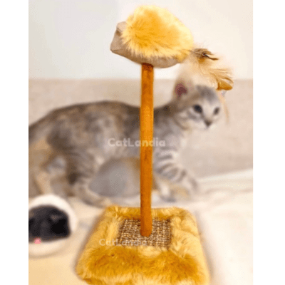 Juguete Rascador peluche2