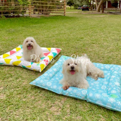 Cool Mat1