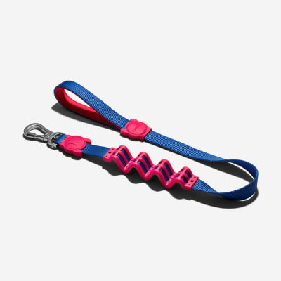 Ruff Leash Shake