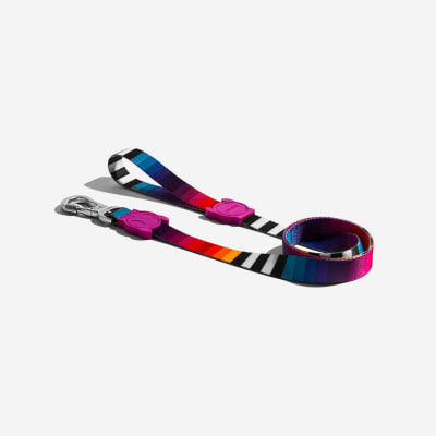 Leash Prisma