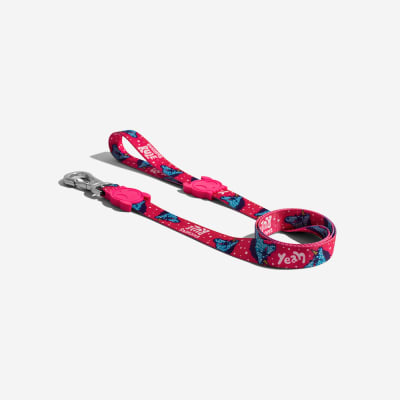 Leash Uni