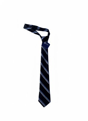 NSE CORBATA