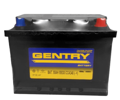 BATERIA 55AH 55530 CCA340 (- +)
