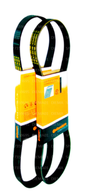 CORREA 6PK-1256