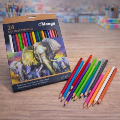 LAPICES DE COLORES 24PCS MANGO1
