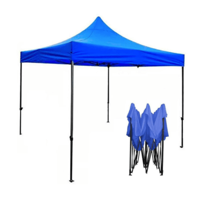 TOLDO 3X31