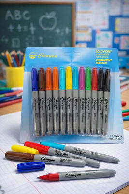 SET 12 PLUMONES PERMANENTES CHENYUN1