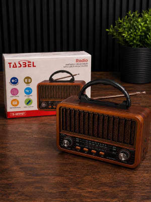 RADIO RECARGABLE  TS-8899BT1