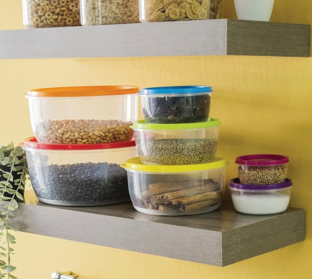 5 CONTENEDORES TAPER SURTIDOS3