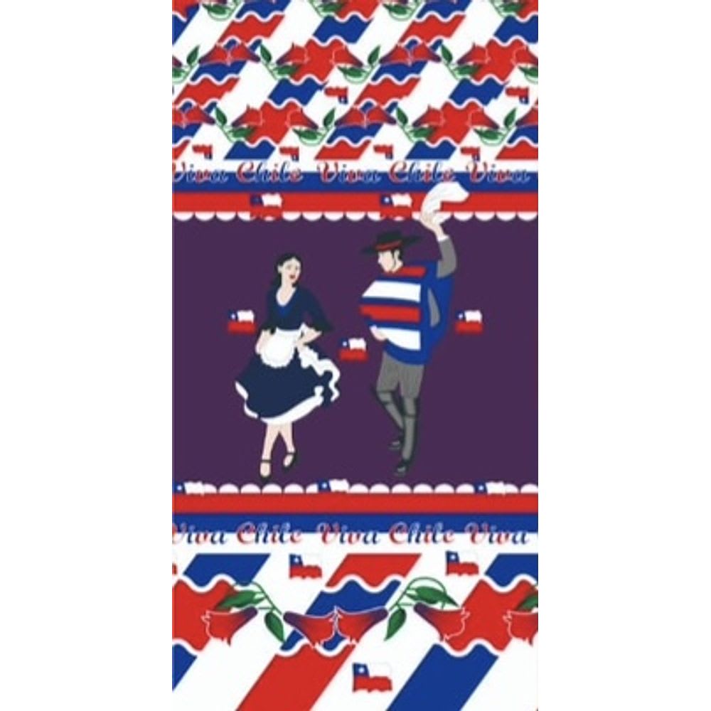 FUNDA DE PUERTA DIECIOCHERA5