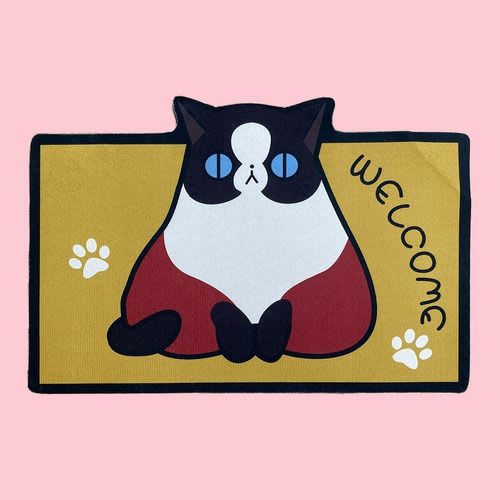 ALFOMBRA LIMPIA PIES SURTIDA3