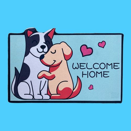 ALFOMBRA LIMPIA PIES SURTIDA1