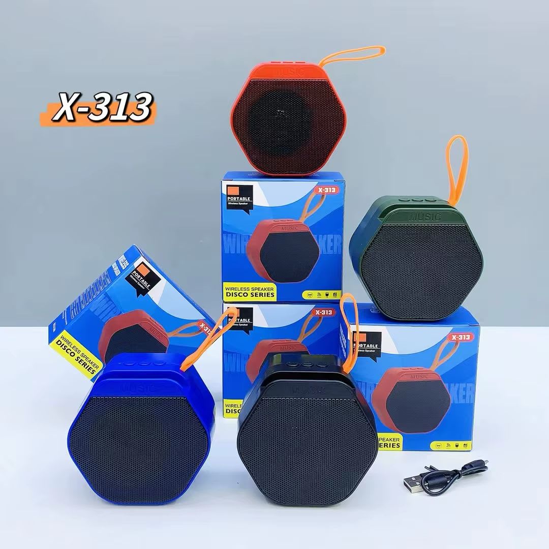 PARLANTE X-313 0