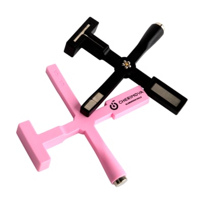 Imán 5 en 1 Cherimoya1