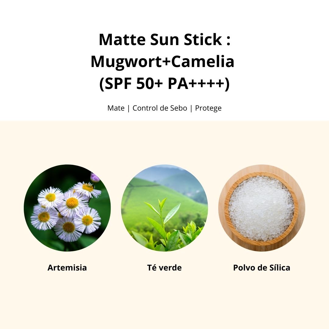 Beauty Of Joseon Set x2 Matte Sun Stick Mugwort + Camelia 18g11