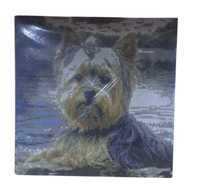 PAINT DIAMOND 30X301