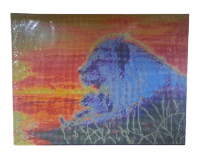 PAINT DIAMOND 40X301