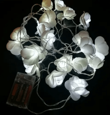 LUCES DE ROSAS A PILA1