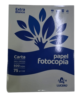 P/10 RESMA 500 HOJAS CARTA1