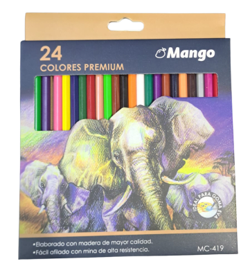 LAPICES 24 COLORES1