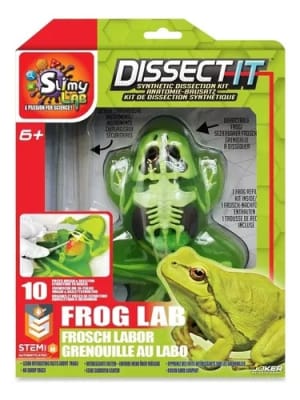JUEGO DISECCION ESQUELETO CON SLIME RANA1