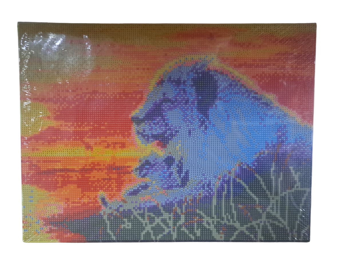 PAINT DIAMOND 40X30 0