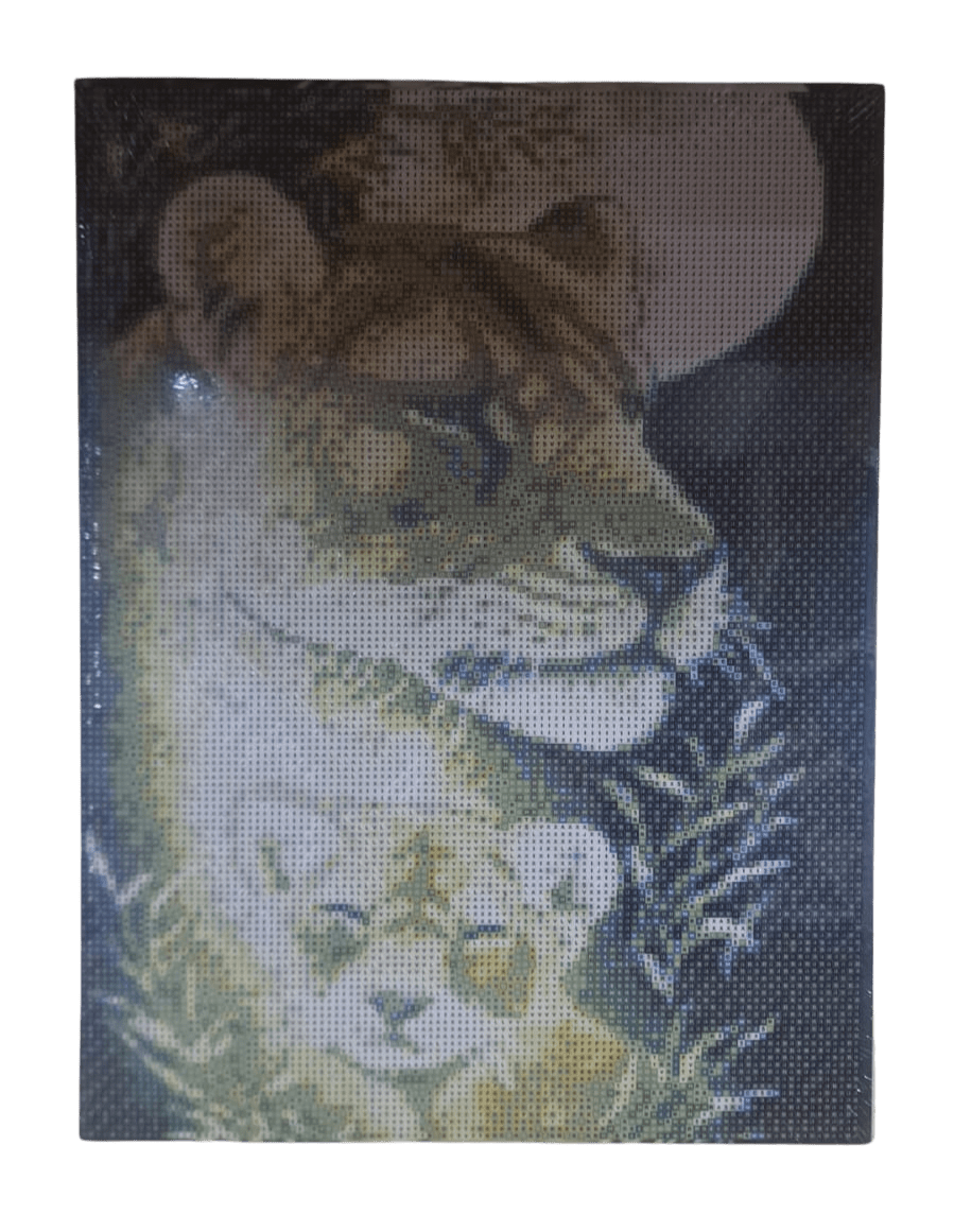 PAINT DIAMOND 40X304