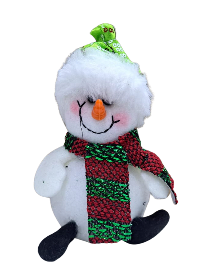 HOMBRE DE NIEVE CON LUZ4