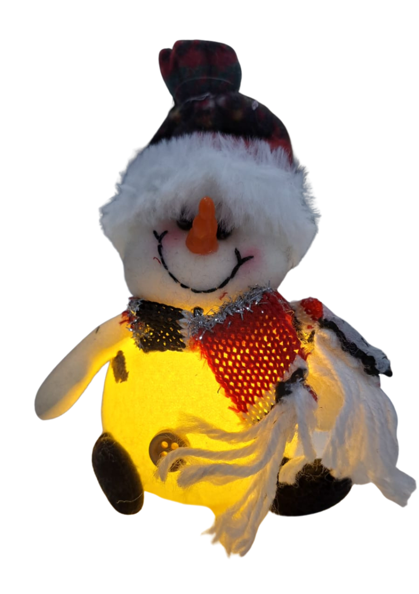HOMBRE DE NIEVE CON LUZ 0
