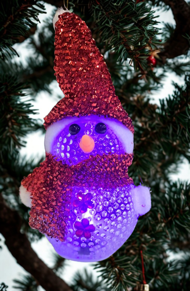 MUÑECO DE NIEVE CHICO2