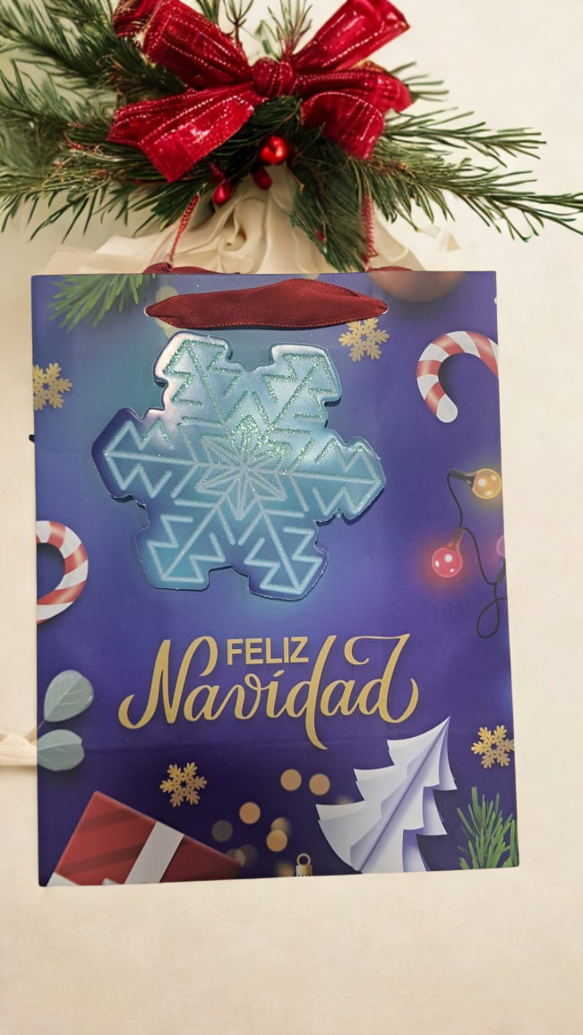 PACK 10 BOLSAS REGALO NAVIDEÑA 23X102