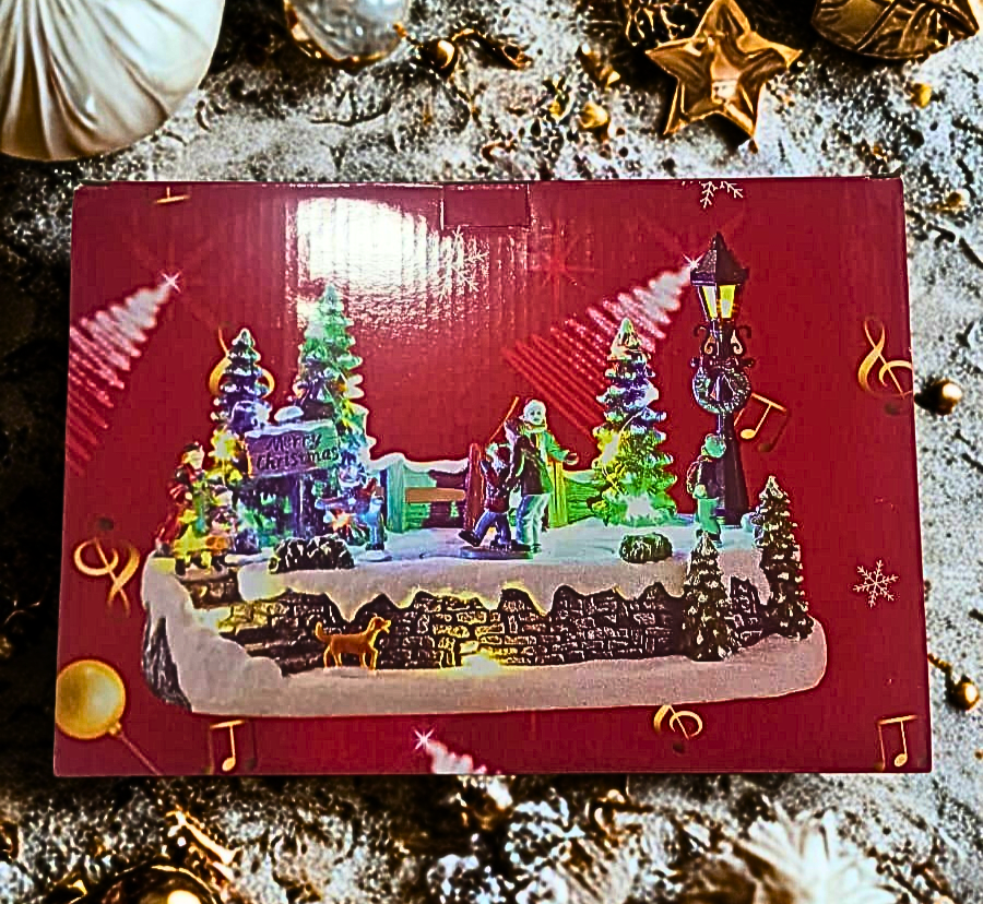 MUSICAL NAVIDEÑO FAMILIA PATINAJE 0