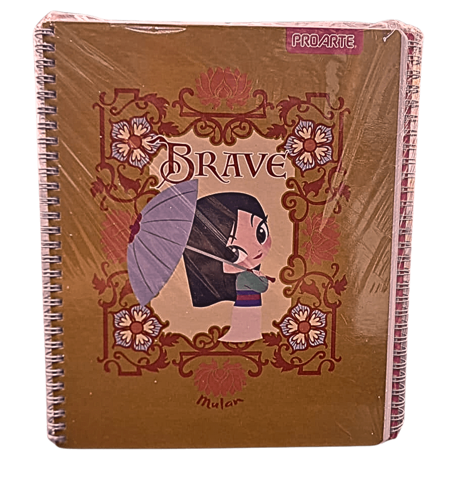 PACK 10 CUADERNOS PROARTE2