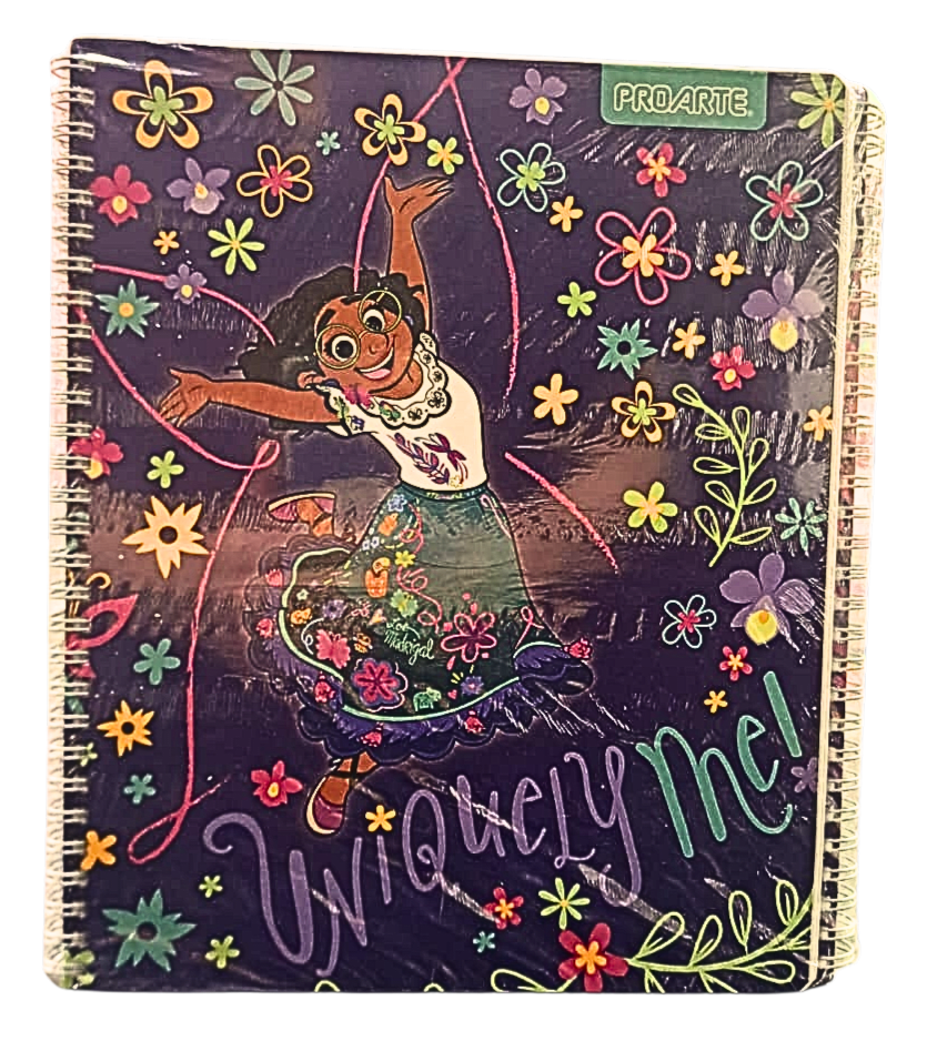 PACK 10 CUADERNOS PROARTE3