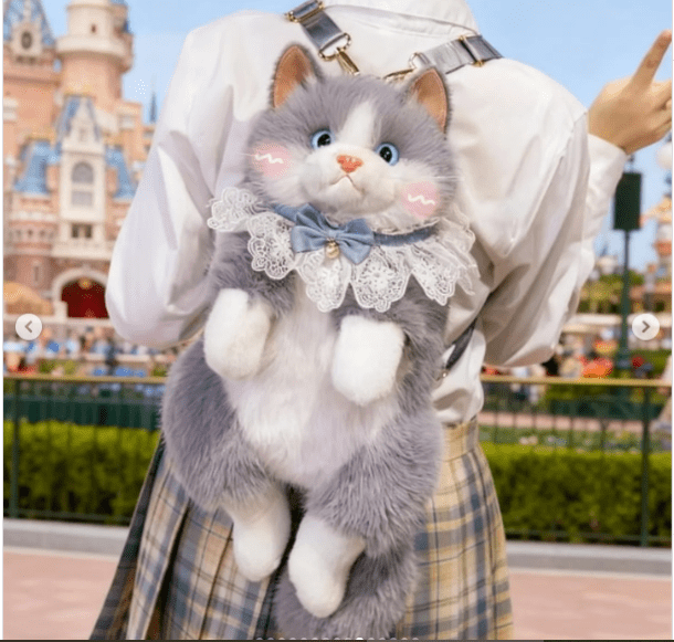 MOCHILA DE GATO2