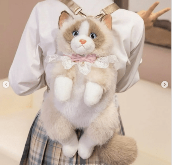 MOCHILA DE GATO3
