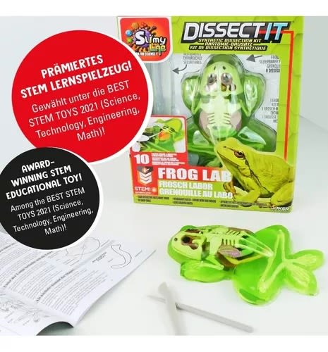 JUEGO DISECCION ESQUELETO CON SLIME RANA2