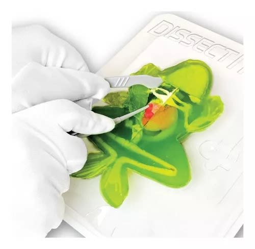 JUEGO DISECCION ESQUELETO CON SLIME RANA3