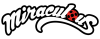 Miraculous Ladybug