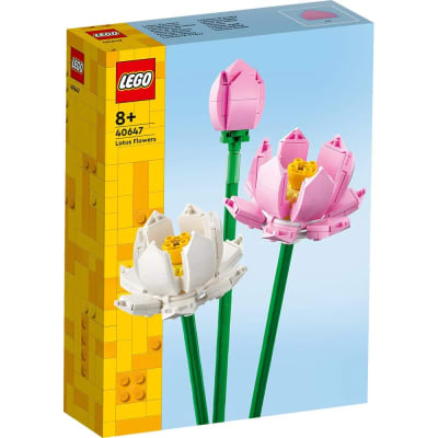 FLORES DE LOTO2