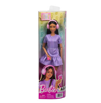 BARBIE AUTISTA CON ACCESORIOS4