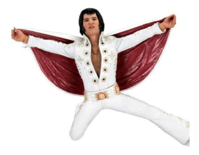 ELVIS ON TOUR - FIGURA DE COLECCION - NECA ELVIS ON TOUR - FIGURA DE COLECCION - NECA