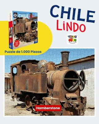 PUZZLE 1.000 PIEZAS CHILE LINDO 6 MODELOS SURT1