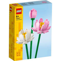 FLORES DE LOTO
