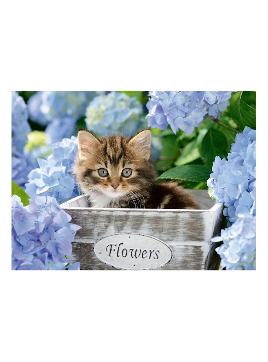 RAVENSBURGER PUZZLE XXL GATITO EN EL CANASTO 300 PIEZAS2