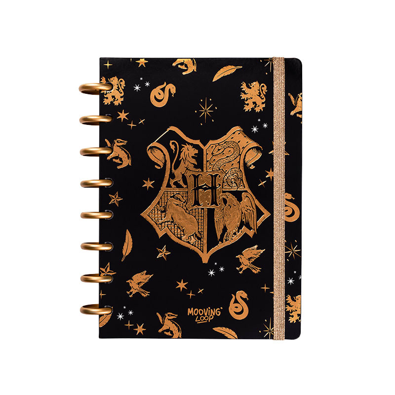 CUADERNO DISCOS A5 HARRY POTTER - MOOVING LOOP 0