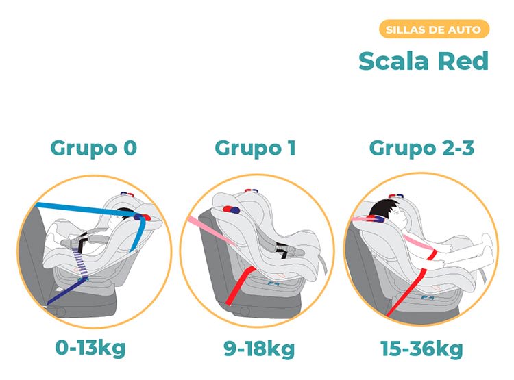 SILLA CONVERTIBLE PIKABOO -  SCALA PINK (RN A 36 KILOS)2