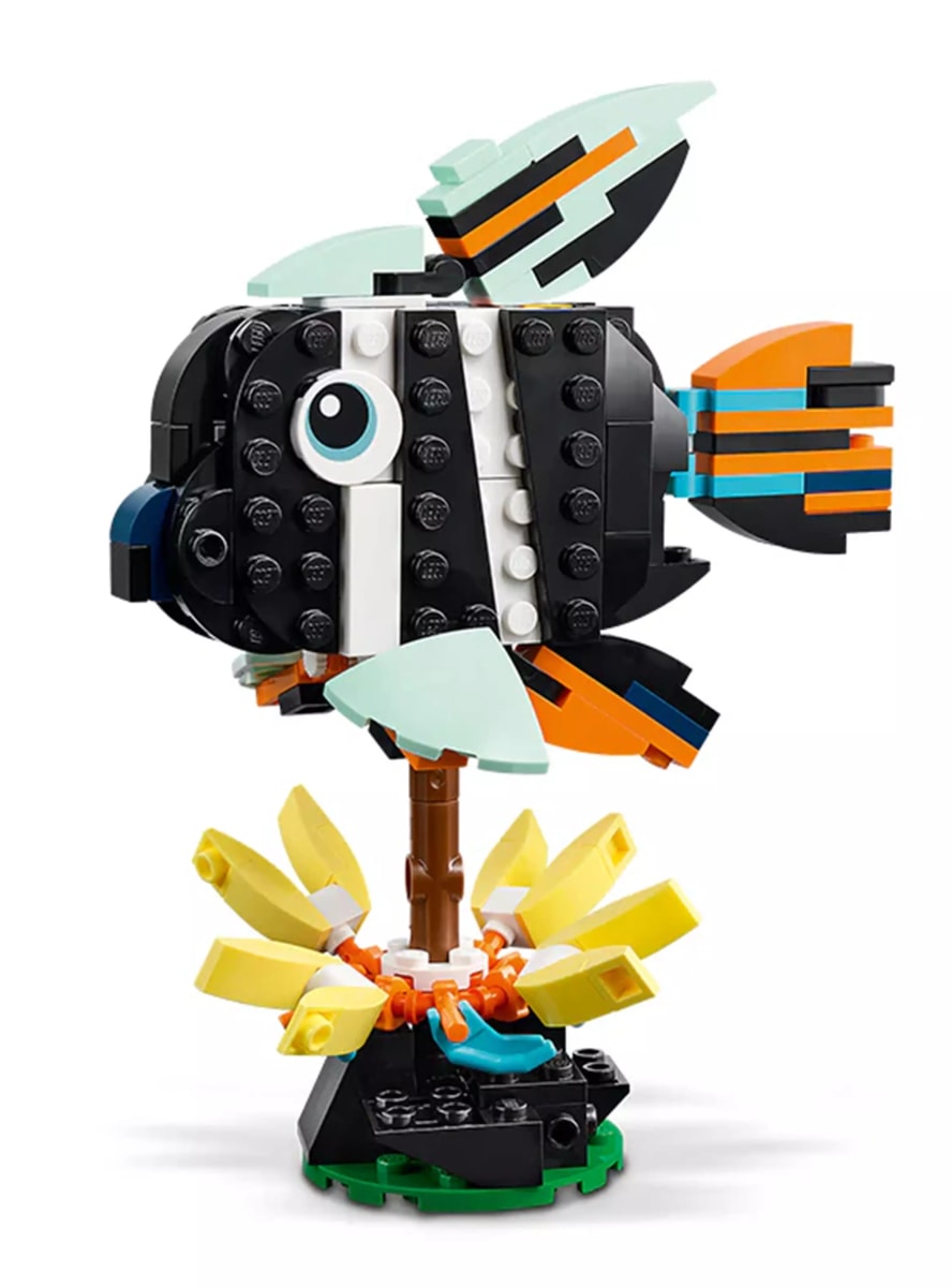 FAUNA SALVAJE: TUCÁN TROPICAL1