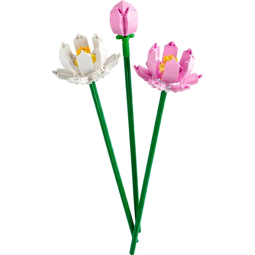 FLORES DE LOTO1